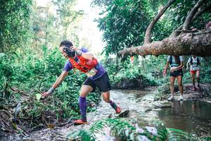 BIB: 
                            <button type="button" onclick="openModal(25434411)" class="btn btn-primary btn-sm float-right btn-popup" data-toggle="modal" data-target=".modal-high-quality">
                        <i class="fas fa-shopping-cart"></i> Add to Cart
                    </button>
                                            <button type="button" onclick="isThisMe(25434411, true)" class="btn btn-success btn-sm float-right btn-popup btn-isme hidden" data-toggle="tooltip" data-placement="bottom" title="นี่คือรูปของคุณใช่ไหม คลิกที่นี่เพื่อเอาเข้าอัลบั้ม">
                        <i class="fas fa-plus"></i> Add to album
                    </button>
                    <button type="button" onclick="isThisMe(25434411, false)" class="btn btn-warning btn-sm float-right btn-popup btn-isnotme hidden">
                        <i class="fas fa-ban"></i> Remove from album
                    </button>